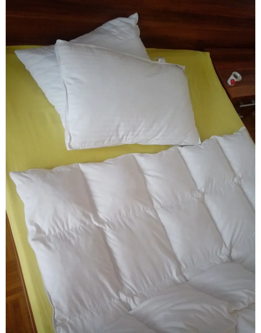 Odeja 140 x 220 gosje perje in puh (60/40)
