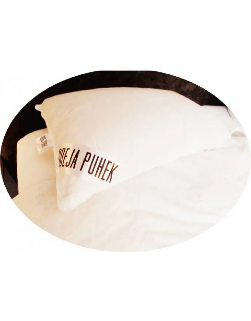 Luksuzni Vzglavnik Odeja Puhek 100% gosji puh