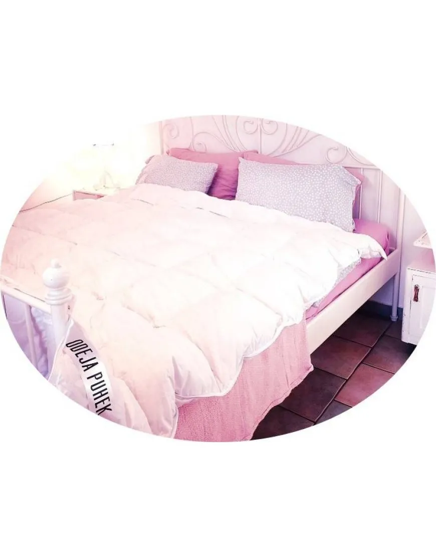 Odeja 100% gosji puh 200x200 cm