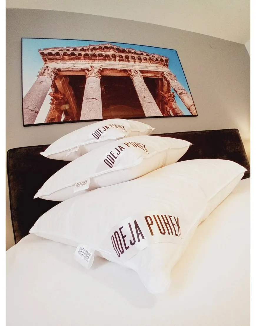 Luksuzni Vzglavnik Odeja Puhek 100% gosji puh