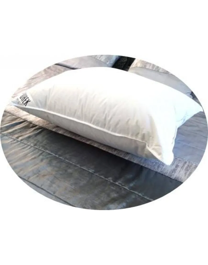 Vzglavnik iz gosjega puha in perja 80x60 cm